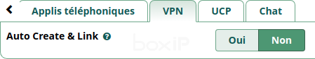 Configuration de l'onglet VPN